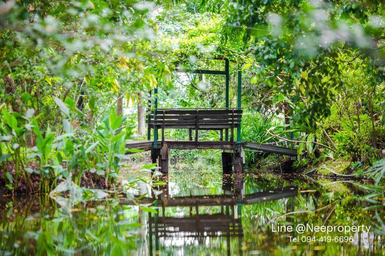 รูป ขายบ้านสวนริมสระบัว พร้อมที่ดิน 2ไร่กว่า เฟอร์ครบพร้อมเข้าอยู่ อากาศดี ร่มรื่น โซนไทรน้อย นนทบุรี - รูปที่ 18/20