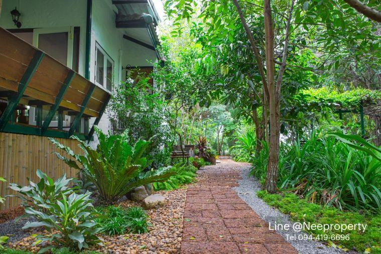 รูป ขายบ้านสวนริมสระบัว พร้อมที่ดิน 2ไร่กว่า เฟอร์ครบพร้อมเข้าอยู่ อากาศดี ร่มรื่น โซนไทรน้อย นนทบุรี - รูปที่ 19/20