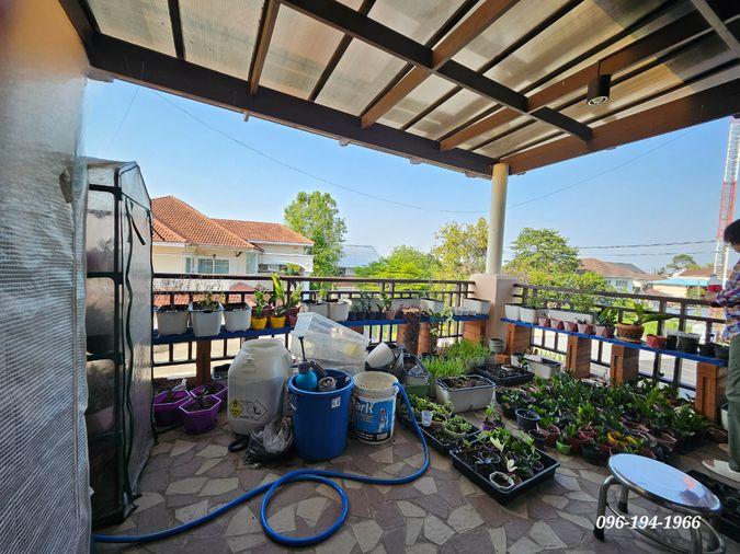 picture Resort-Style Living in Bangkok: Massive 650 Sq.m. Estate with Private Pool & Jacuzzi ✨ - 30/46