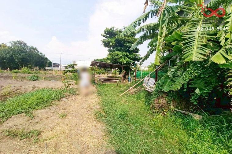 รูป ขายที่ดิน 196 ตร.ว. ถ.ติวานนท์  สุขาประชาสรรค์ 3 ปากเกร็ด นนทบุรี แปลงสวย ทำเลดี  - รูปที่ 5/6