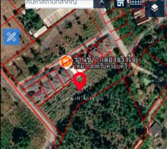 รูป ขายที่ดินสวย ตะเคียนเตี้ย บางละมุง ชลบุรี ติดหมู่บ้าน อยู่ในเขตชุมชน - รูปที่ 6/6