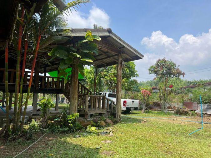 picture Fruit orchard with land for sale in Klaeng District, Rayong. Pleasant atmosphere, ideal for investment. - 12/18