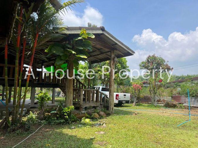 picture Fruit orchard with land for sale in Klaeng District, Rayong. Pleasant atmosphere, ideal for investment. - 12/18