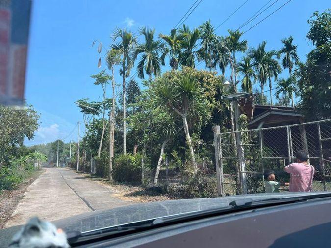 picture Fruit orchard with land for sale in Klaeng District, Rayong. Pleasant atmosphere, ideal for investment. - 18/18