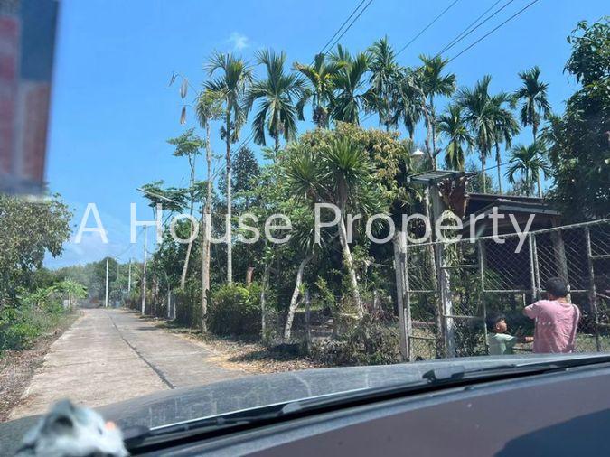 picture Fruit orchard with land for sale in Klaeng District, Rayong. Pleasant atmosphere, ideal for investment. - 18/18