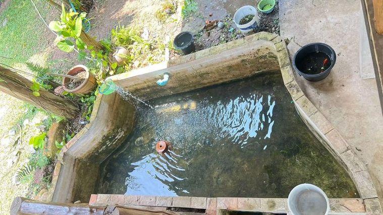 picture Fruit orchard with land for sale in Klaeng District, Rayong. Pleasant atmosphere, ideal for investment. - 14/18