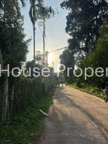 picture Fruit orchard with land for sale in Klaeng District, Rayong. Pleasant atmosphere, ideal for investment. - 10/18