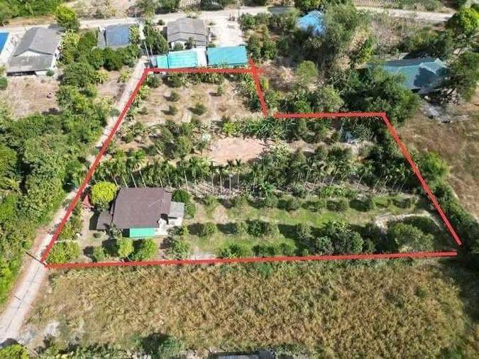 picture Fruit orchard with land for sale in Klaeng District, Rayong. Pleasant atmosphere, ideal for investment. - 2/18
