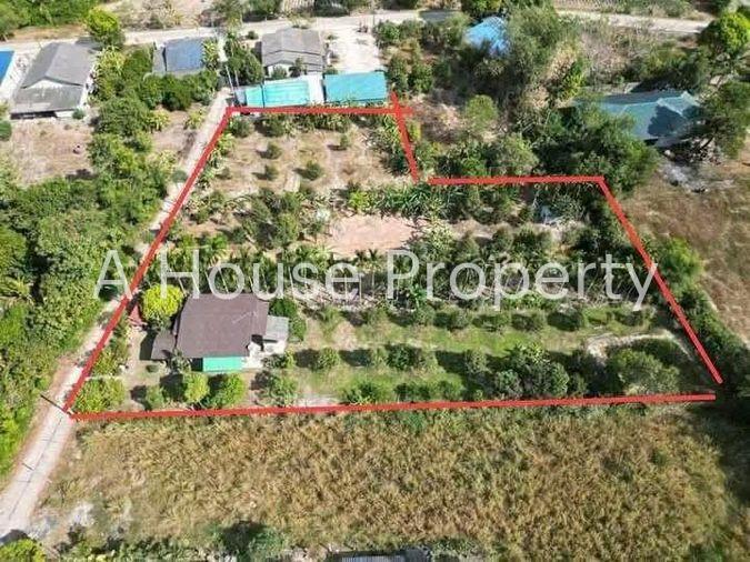 picture Fruit orchard with land for sale in Klaeng District, Rayong. Pleasant atmosphere, ideal for investment. - 2/18