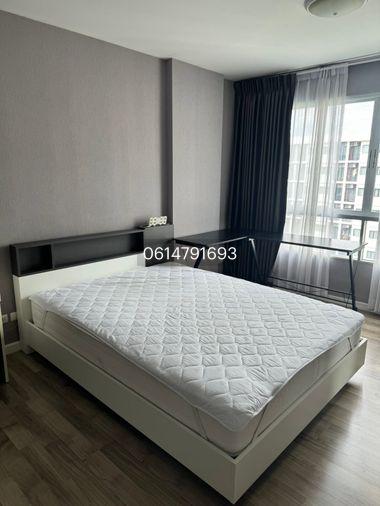 รูป ให้เช่า ดีคอนโด แคมปัส รีสอร์ท รังสิต เฟส 2 9,500 - รูปที่ 13/14