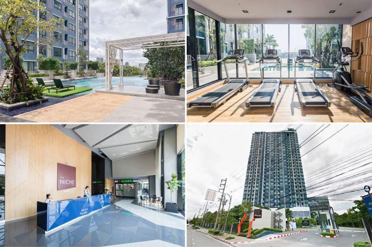 picture Call : 063-963-0333 Condo Niche Mono Ratchavipha 30.25 sq.m 1Bed 20th floor Clear View, Ready to move in - 11/13