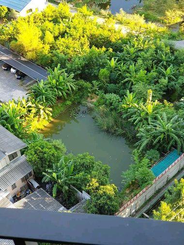 picture Chapter One Eco Ratchada-HuaiKhwang | ðNear MRT Huai Khwang #2026061814871 #MKT - 12/15