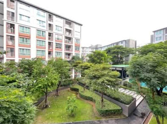 รูป 🌿🏢 ปล่อยเช่า ดีพิงค์ คอนโดเชียงใหม่ วิวสวน พร้อมเข้าอยู่ ✨ - รูปที่ 1/10