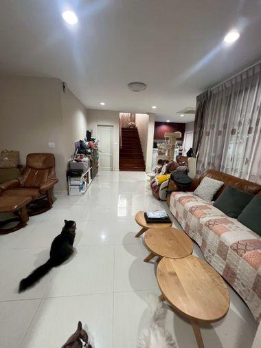 รูป 🏠 ให้เช่าบ้าน : Blue Lagoon 2 Bangna - Wongwaen (บลูลากูน 2 บางนา - วงแหวน)   รหัสทรัพย์ | 📌LNP-H1055 - รูปที่ 2/17