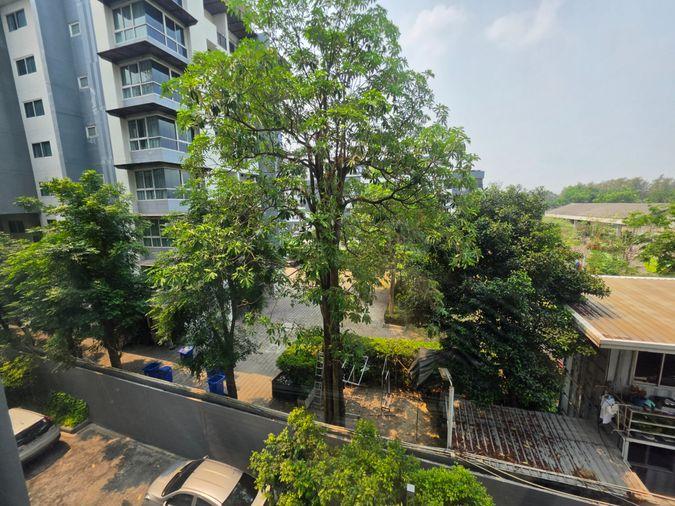 picture Salaya One Residence, Soi Tangsin, near Mahidol University size 40.10 sq.m. - 9/9