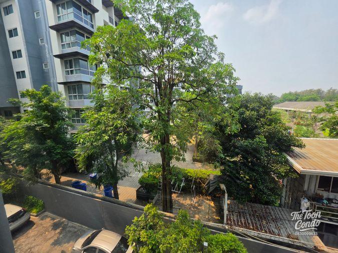 picture Salaya One Residence, Soi Tangsin, near Mahidol University size 40.10 sq.m. - 9/9