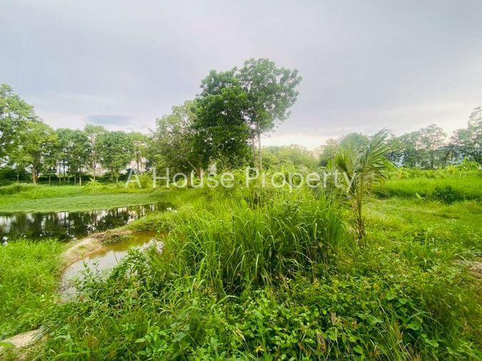รูป ขายที่ดินสวย บ้านมาบกรูด อำเภอบ้านบึง ชลบุรี เหมาะสร้างบ้าน - รูปที่ 2/8