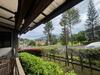 listing thumbnail image 61