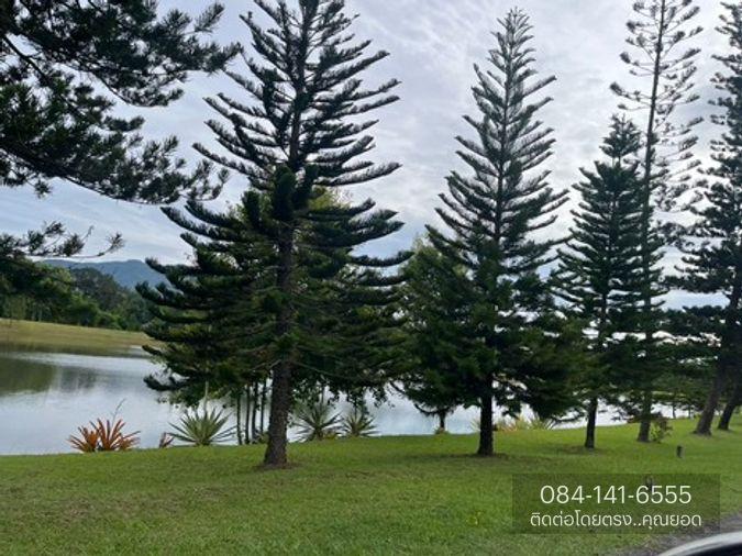รูป BL123|บ้านเดี่ยว 2 ชั้น โครงการ เขาค้อไฮแลนด์ซิตี้ โอบล้อมด้วย ธรรมชาติและขุนเขา เขาค้อ เพชรบูรณ์ (ราคา 12,000,000 บาท) - รูปที่ 14/63
