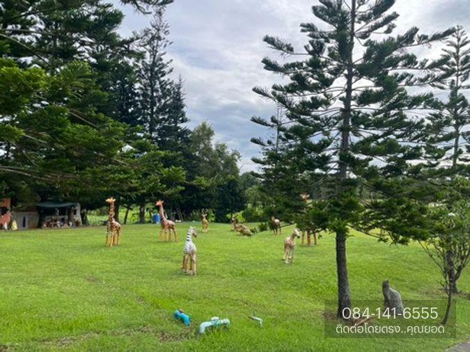 รูป BL123|บ้านเดี่ยว 2 ชั้น โครงการ เขาค้อไฮแลนด์ซิตี้ โอบล้อมด้วย ธรรมชาติและขุนเขา เขาค้อ เพชรบูรณ์ (ราคา 12,000,000 บาท) - รูปที่ 13/63
