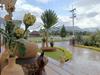 listing thumbnail image 69