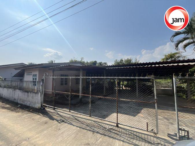 รูป JK3 6131491 : นอกโครงการเชียงใหม่ - รูปที่ 1/8
