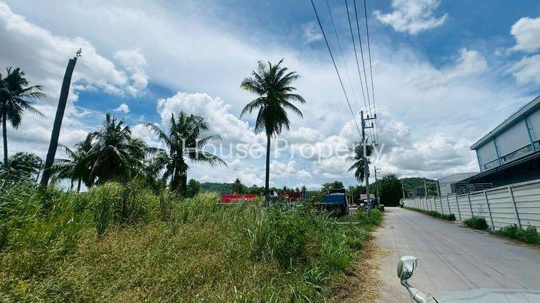 รูป ขายที่ดินเขาคันทรง ศรีราชา ติดนิคม WHA1 ทำเลทองเพื่อการลงทุน - รูปที่ 5/12