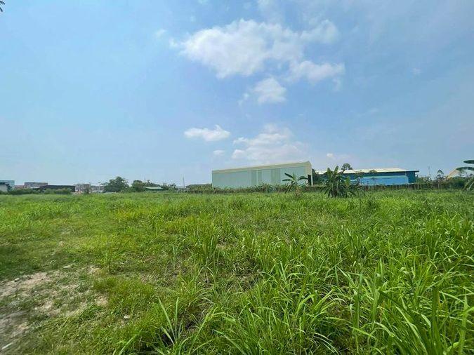 รูป ขายที่ดินหนองขาม ศรีราชา ใกล้นิคมปิ่นทอง ทำเลศักยภาพ - รูปที่ 1/12