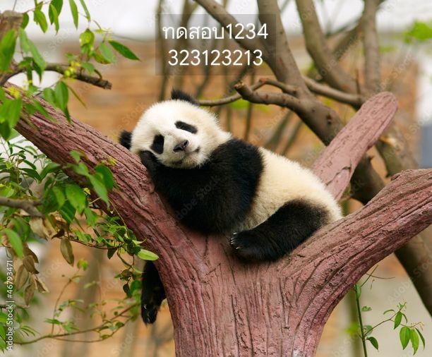 picture TestwatermarkTestwatermarkTestwatermark - 5/5