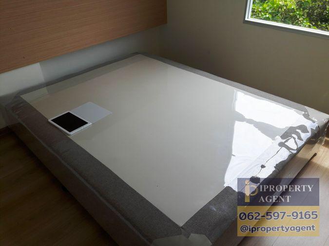 picture Condo for sale, U Campus Rangsit-Muang Ek (next to Rangsit University) - 13/16