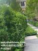 listing thumbnail image 17