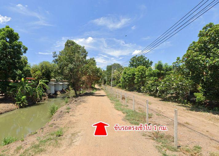 picture Land for sale, Khlong Kao Road, Khlong Rapeepat, Nong Suea, Pathum Thani. - 14/16
