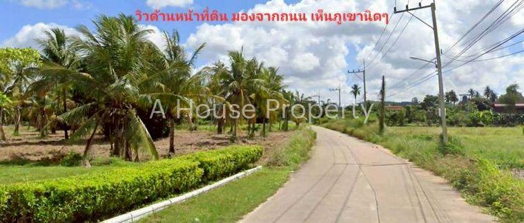 รูป ขายที่ดินเปล่า พัทยา ใกล้สนามกอล์ฟฟีนิกซ์ บรรยากาศเงียบสงบ - รูปที่ 3/4