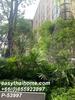 listing thumbnail image 19