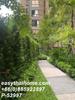 listing thumbnail image 16