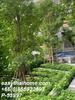 listing thumbnail image 18