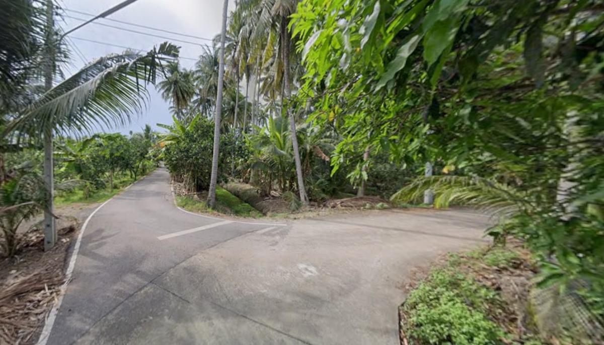 รูป ขาย ที่ดินสวน 1-3-80 ไร่ บางสะแก บางคนที สมุทรสงคราม - รูปที่ 5/12