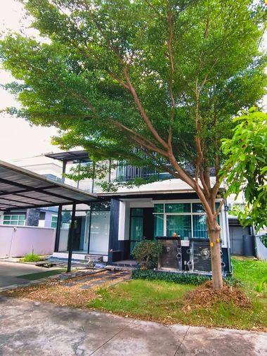 รูป 🔥ขาย บ้านเดี่ยว 100 ตร.ว. หมู่บ้านปัญญารามอินทรา P4 ทำเลทองย่านรามอินทรา ใกล้แฟชั่นไอส์แลนด์ เพียง 3 นาทีถึง ขายด่วนราคาพิเศษสุดๆ - รูปที่ 1/27