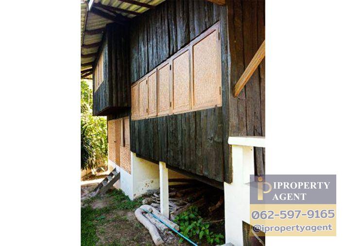 รูป ขายบ้าน ม่อนแจ่ม ตำบลริมใต้ อำเภอแม่ริม เชียงใหม่ - รูปที่ 8/22