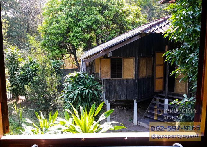 รูป ขายบ้าน ม่อนแจ่ม ตำบลริมใต้ อำเภอแม่ริม เชียงใหม่ - รูปที่ 4/22