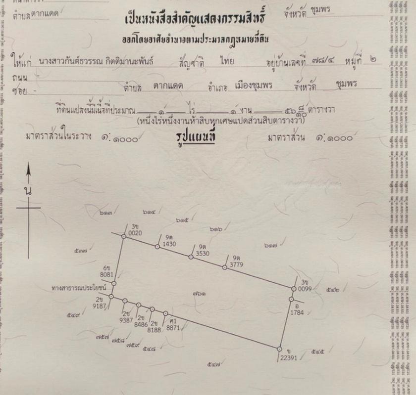 รูป Call : 093-596-9441 ขายที่ดิน 556 ตารางวา ใกล้ตัวเมืองชุมพร เพียง 1.5 กม. ทำเลถนน 2009 ตำบลตากแดด เมืองชุมพร ใกล้โลตัส แม็คโคร เมืองชุมพร - รูปที่ 12/13