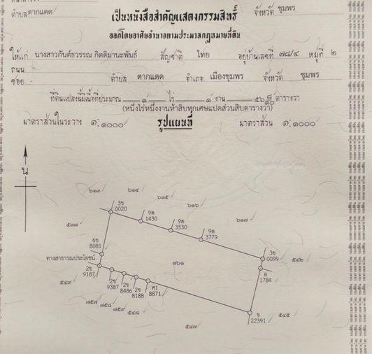 รูป Call : 093-596-9441 ขายที่ดิน 556 ตารางวา ใกล้ตัวเมืองชุมพร เพียง 1.5 กม. ทำเลถนน 2009 ตำบลตากแดด เมืองชุมพร ใกล้โลตัส แม็คโคร เมืองชุมพร - รูปที่ 12/13