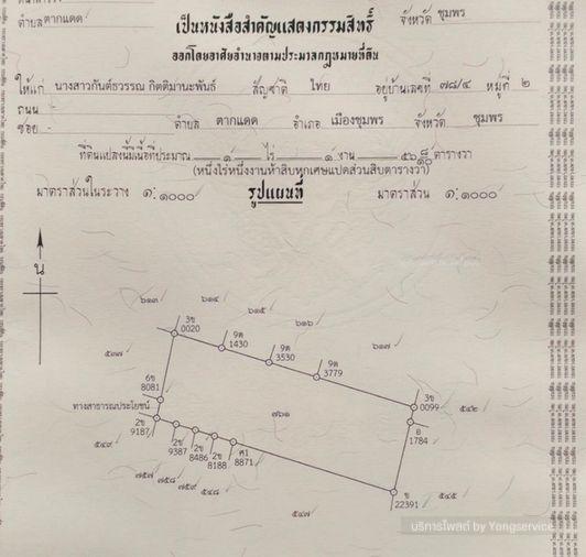 รูป Call : 093-596-9441 ขายที่ดิน 556 ตารางวา ใกล้ตัวเมืองชุมพร เพียง 1.5 กม. ทำเลถนน 2009 ตำบลตากแดด เมืองชุมพร ใกล้โลตัส แม็คโคร เมืองชุมพร - รูปที่ 12/13