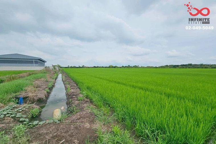 รูป ขายที่ดิน 2-3-18 ไร่ สุวินทวงศ์ ใกล้ตลาดฉิน คลองหลวงแพ่ง ฉะเชิงเทรา - รูปที่ 1/4