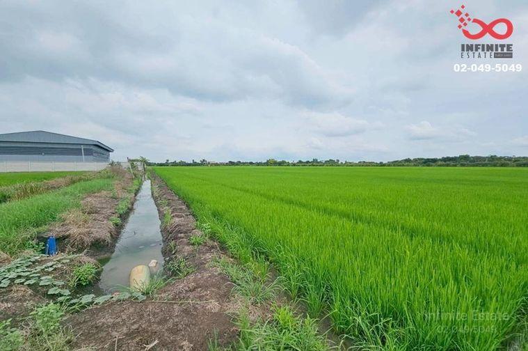 รูป ขายที่ดิน 2-3-18 ไร่ สุวินทวงศ์ ใกล้ตลาดฉิน คลองหลวงแพ่ง ฉะเชิงเทรา - รูปที่ 1/4