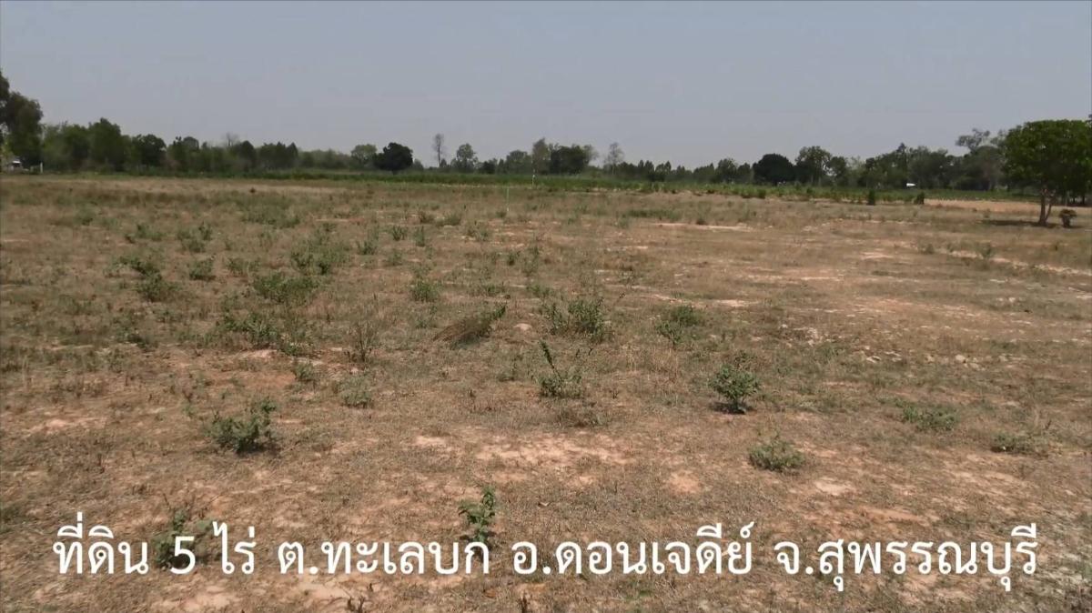 รูป ขายที่ดิน 5 ไร่ ขาย 1.2 ลบ. ต.ดอนเจดีย์ ต.ทะเลบก จ.สุพรรณบุรี - รูปที่ 3/5