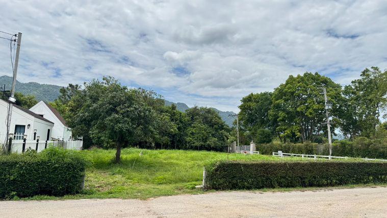 รูป ขายที่ดินพญาเย็น ปากช่อง 335 ตร.ว. วิวเขา เหมาะสร้างบ้านพักและพูลวิลล่า - รูปที่ 14/16