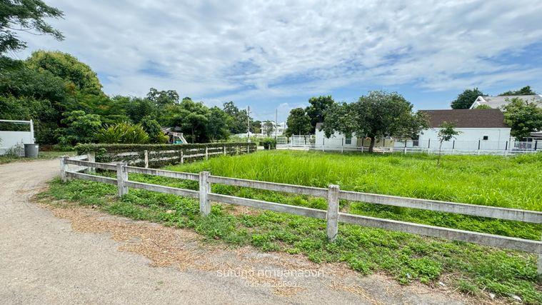 รูป ขายที่ดินพญาเย็น ปากช่อง 335 ตร.ว. วิวเขา เหมาะสร้างบ้านพักและพูลวิลล่า - รูปที่ 8/16
