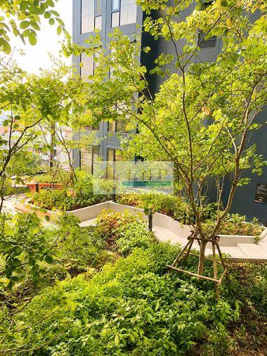 picture Condo for Rent: Origin Play Bangkhunnon Triple Station Property Code | LNP-C14042 - 17/26