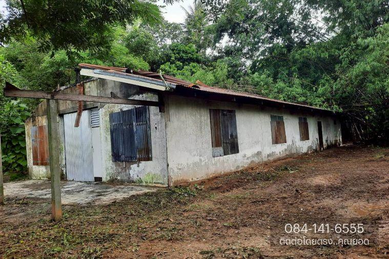 รูป AL-2-0054|บ้านพักอาศัยชั้นเดียว นครพนม-บึงกาฬ (212) ต. บ้านแพง อ.บ้านแพง จ.นครพนม(ราคา 490,000 บาท ) - รูปที่ 2/12